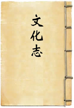 江苏省通志稿文化志