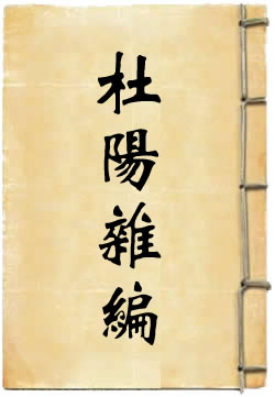 杜阳杂编