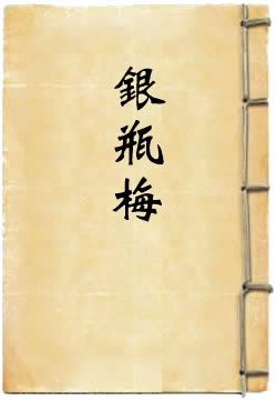 银瓶梅