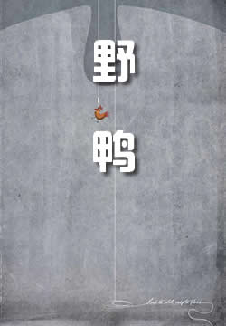 野鸭