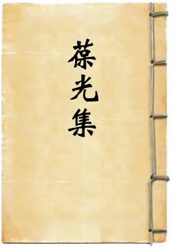 葆光集